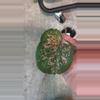 plant/pink sky caladium-1-thumbnail
