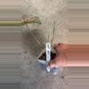 plant/pink splash caladium-2-thumbnail