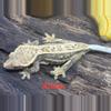 plant/Amun-0-thumbnail