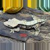 plant/Nile-0-thumbnail