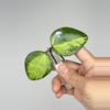 plant/180 Verticillata Inner Variegated HeartLeaf Splash-0-thumbnail