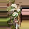 plant/Monstera mint no 4-0-thumbnail