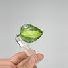 plant/178 Verticillata Inner Variegated HeartLeaf Splash-0-thumbnail