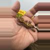 plant/Sable 2-0-thumbnail