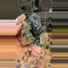 plant/Libethinite -Congo-0-thumbnail