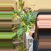 plant/Philo radiation variegated marble-0-thumbnail