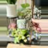 plant/Sage Green Teacup and Saucer - glazed-1-thumbnail