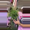 plant/Rhipsalis GC-0-thumbnail