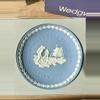 plant/Commemorative Apollo 11 plate-0-thumbnail