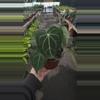 plant/6” anthurium clarinervium *** SPECIAL ***-0-thumbnail