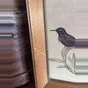 plant/Gould Bird Lithograph-3-thumbnail
