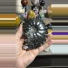 plant/Carbon Ammonite from Russia-0-thumbnail