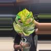 plant/Monstera áurea 1 leaf rooted-0-thumbnail