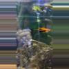 plant/Hamburg swordtail pair-0-thumbnail