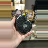 plant/Carbon pyrite ammonite-0-thumbnail
