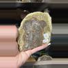 plant/Mushroom Jasper Slab-0-thumbnail