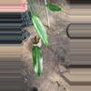 plant/Philodendron lehmannii W24-0-thumbnail