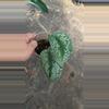plant/scindapsus pictus H3-0-thumbnail