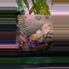 plant/J2 Thicklip sunset gourami pair-0-thumbnail