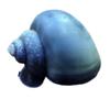 plant/Jumbo Blue Mystery Snail-0-thumbnail