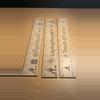 plant/Custom Ruler-0-thumbnail
