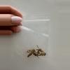 plant/20 seeds Melo Azureus-0-thumbnail