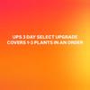 plant/UPS 3 Day Select Upgrade-0-thumbnail