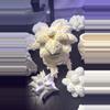 plant/Paint it your own dam self Lopho Mandrake-4-thumbnail