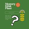 plant/Mystery desk plant-0-thumbnail