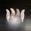 plant/Amethyst feathers-0-thumbnail