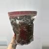 plant/ONE POUND-Custom Aroid Mix-0-thumbnail