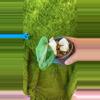plant/Rvdp x fs self-0-thumbnail