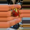 plant/Lady 🐞 Brooch pin-0-thumbnail