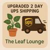 plant/2 Day Shipping Upgrade-0-thumbnail