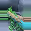 plant/107 Female Leachie produced by Freakie Leachies  150g-0-thumbnail