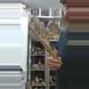 plant/Cholla wood-0-thumbnail
