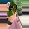 plant/G236 (Pap x Dress) X E Dress-1-thumbnail