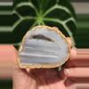 plant/Agate geode-0-thumbnail