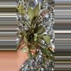 plant/Lacunosa silver starter 2”-0-thumbnail