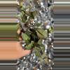 plant/Khroniana silver and lacunosa duo 2”-0-thumbnail