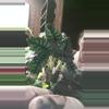 plant/Silver. Dragon giant-0-thumbnail