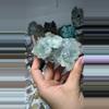 plant/Fluorite quartz fujian china-0-thumbnail