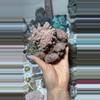 plant/Inner mongolian pink calcite-0-thumbnail