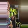 plant/Philo brazil-0-thumbnail