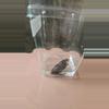 plant/Alocasia Pink Dragon Corm Sprout-0-thumbnail