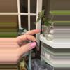 plant/Zebrina reticulata corm-0-thumbnail