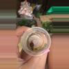 plant/Purple vein alocasia corm-0-thumbnail