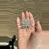 plant/Small Tillandsia Tectorum Ecuador-1-thumbnail