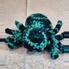 plant/Siesta Spider-0-thumbnail