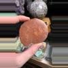 plant/Red Ammonite (random grab)-0-thumbnail